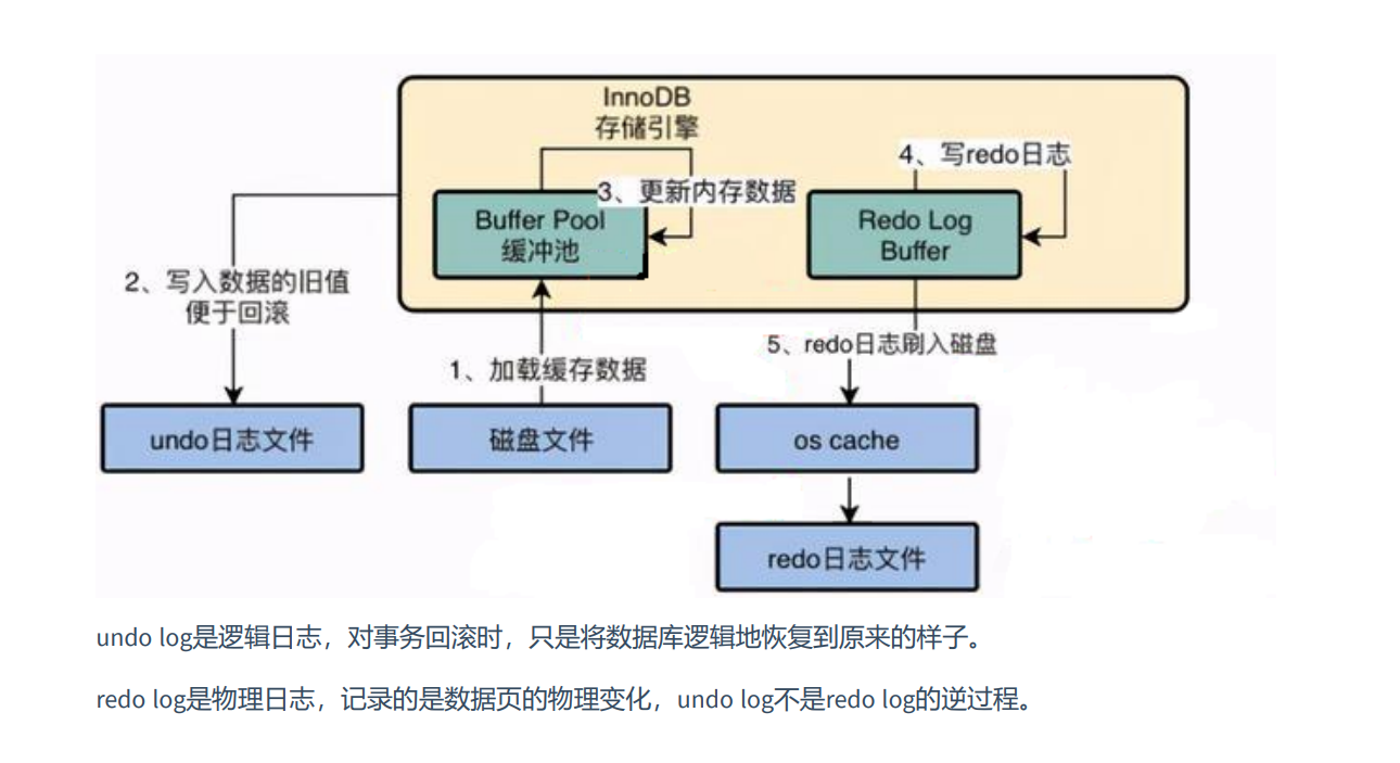 image-20220501155839069